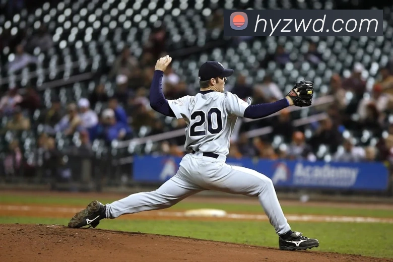 问鼎娱乐平台生态图